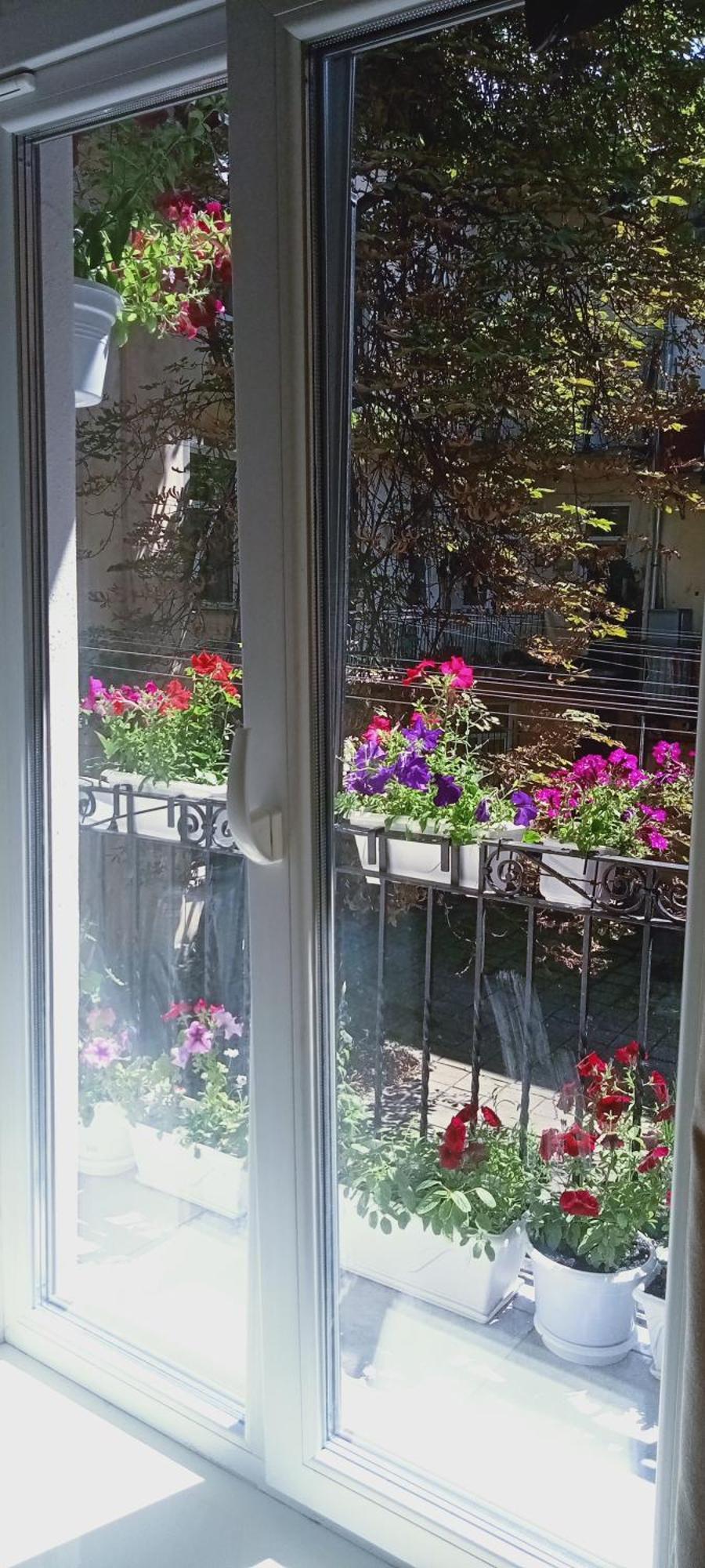 Svitla Zatyszna: Cozy With Balcony Near Opera Lviv