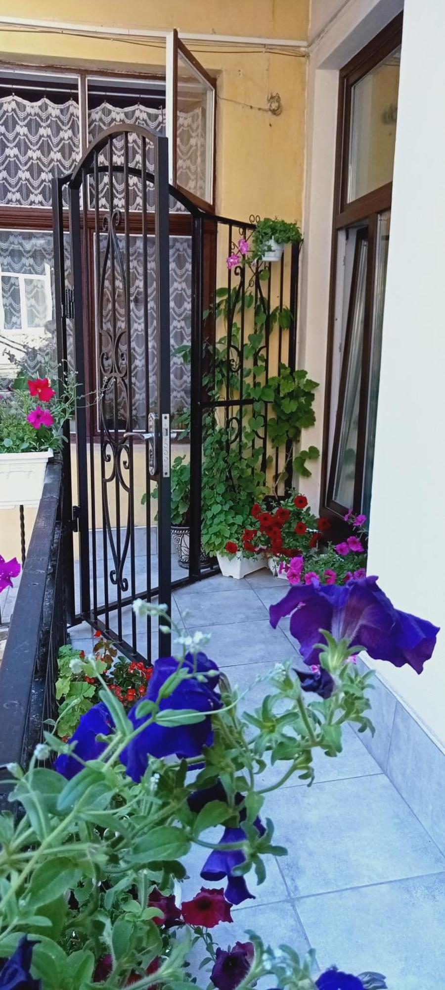 Svitla Zatyszna: Cozy With Balcony Near Opera Lviv