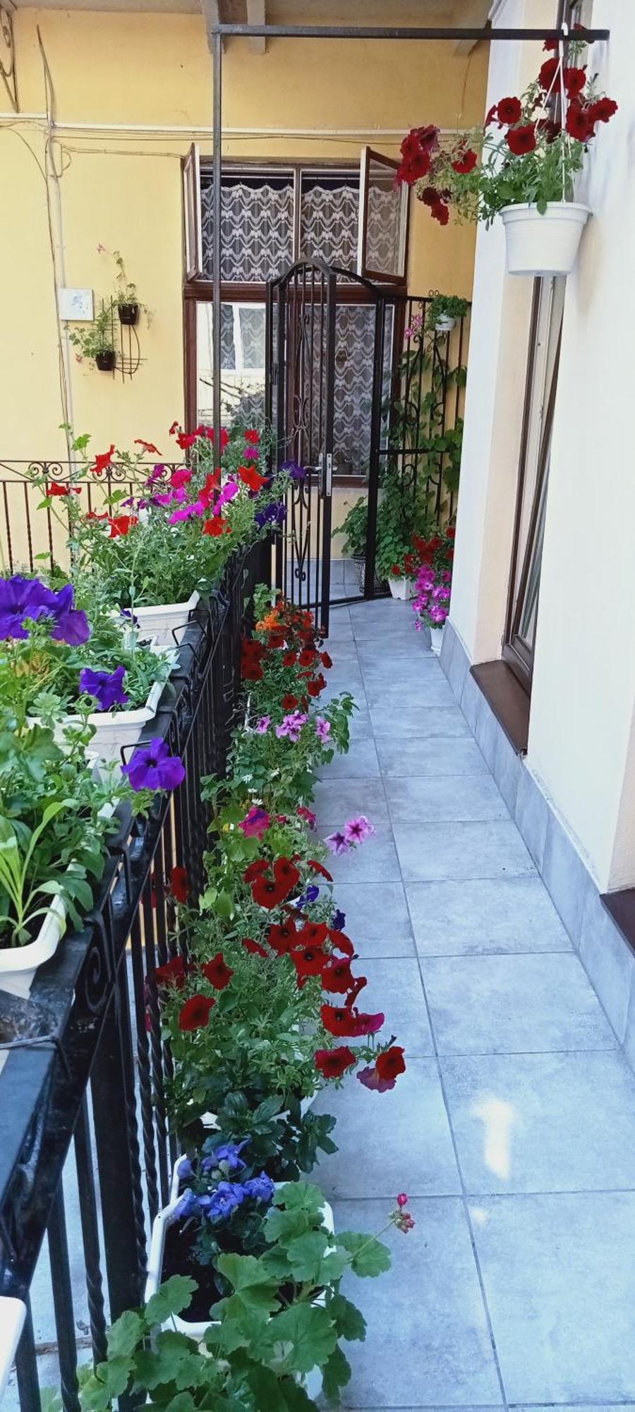 Svitla Zatyszna: Cozy With Balcony Near Opera